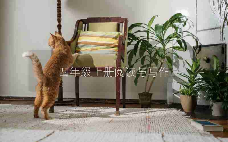 四年级上册阅读与写作
