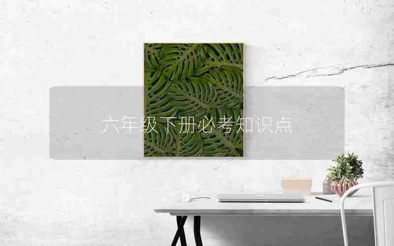 六年级下册必考知识点