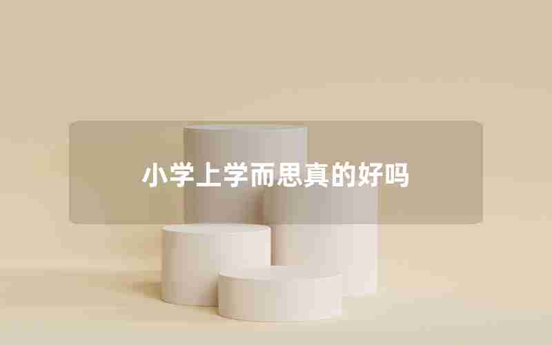 小学上学而思真的好吗
