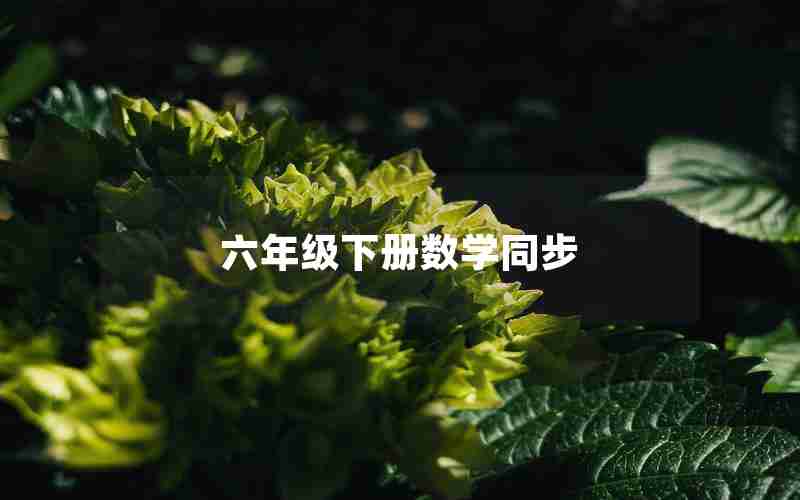 六年级下册数学同步