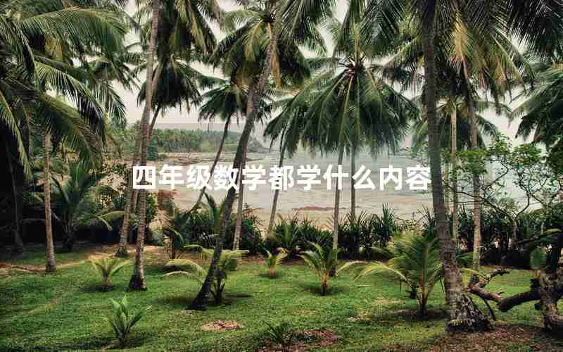 四年级数学都学什么内容