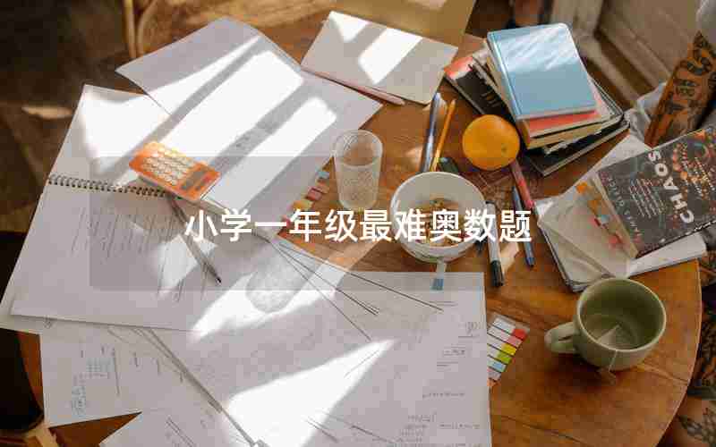 小学一年级最难奥数题