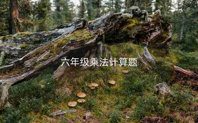 六年级乘法计算题
