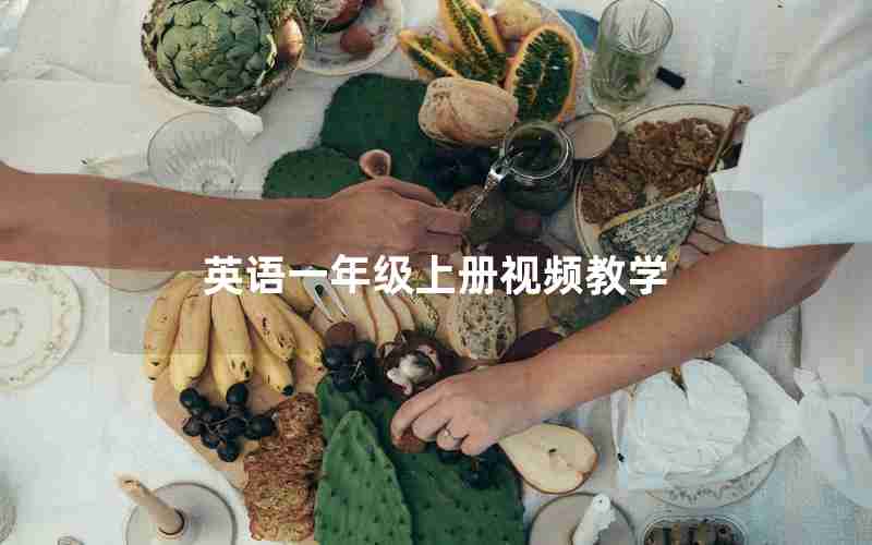 英语一年级上册视频教学