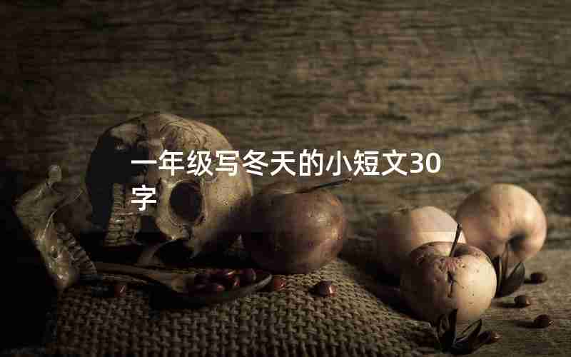 一年级写冬天的小短文30字