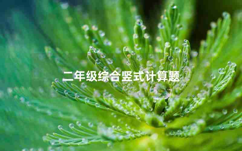 二年级综合竖式计算题