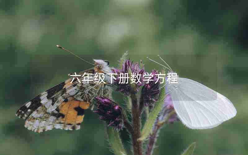 六年级下册数学方程
