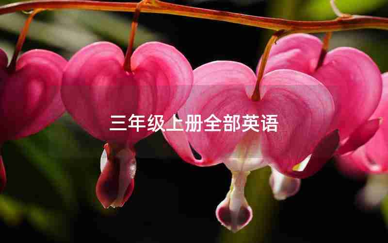 三年级上册全部英语