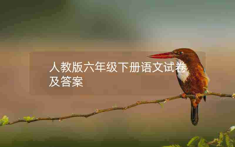 人教版六年级下册语文试卷及答案