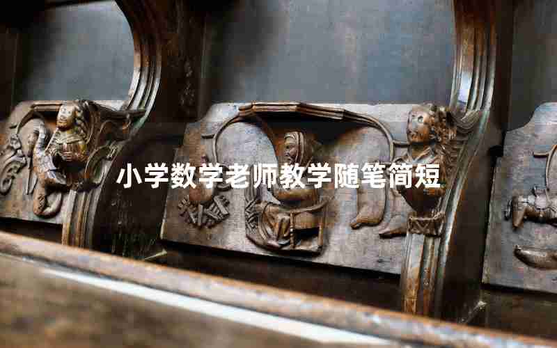 小学数学老师教学随笔简短