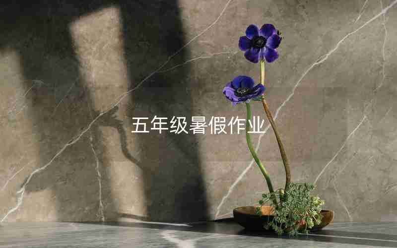 五年级暑假作业