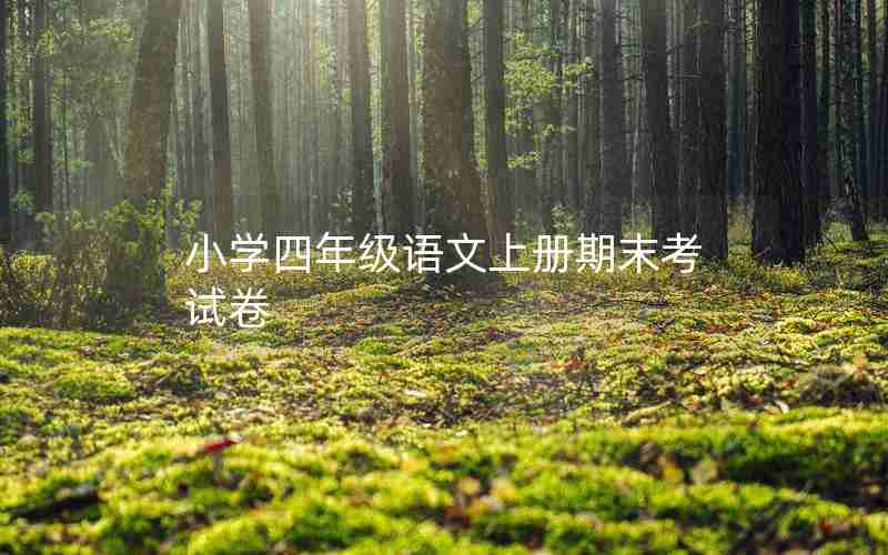 小学四年级语文上册期末考试卷